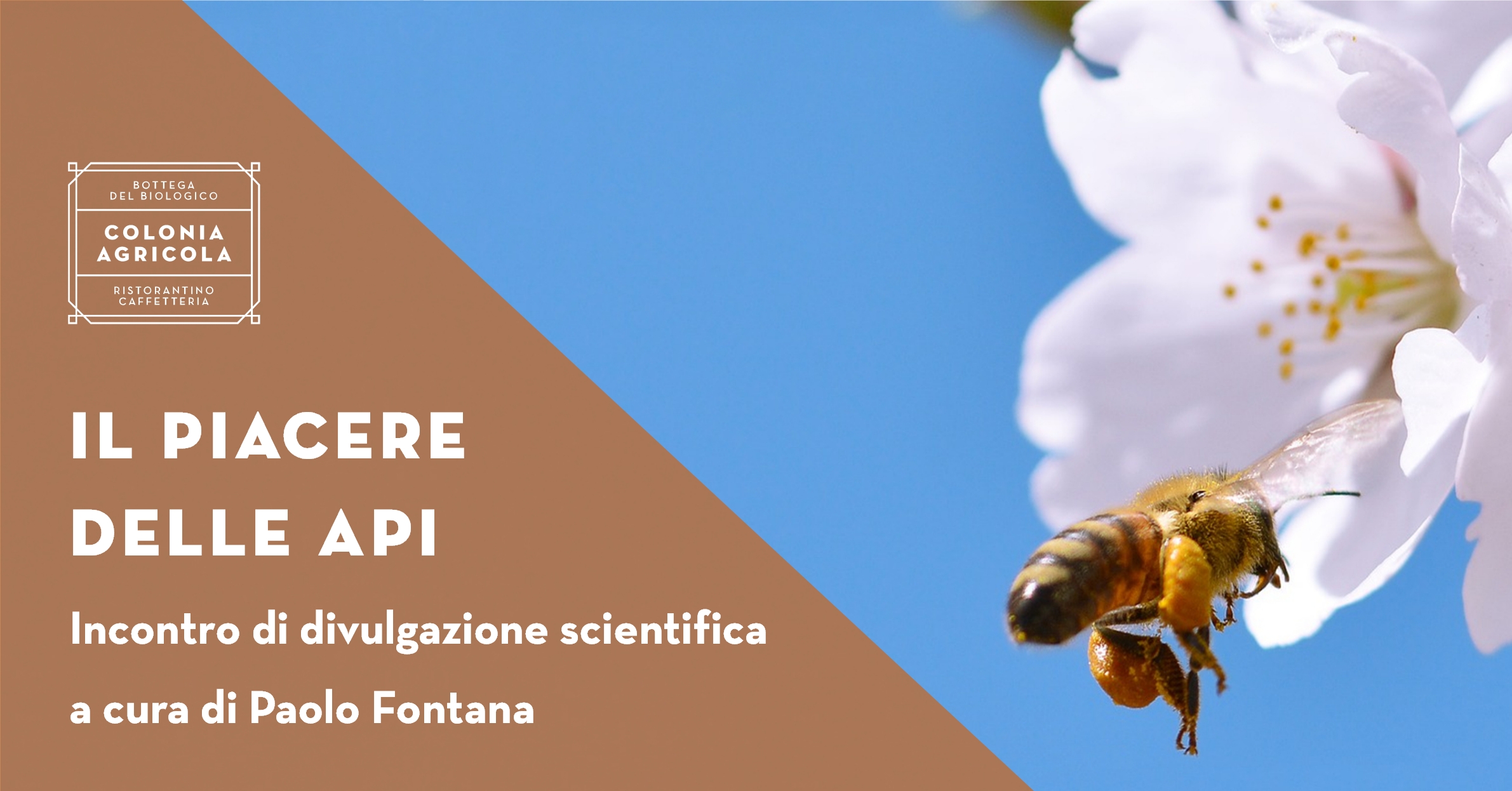 Piacere delle api Social