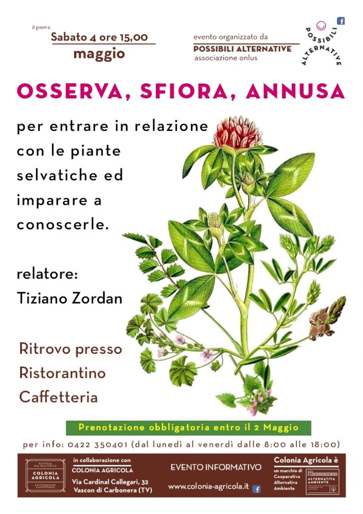 Osserva, sfiora, annusa Volantino