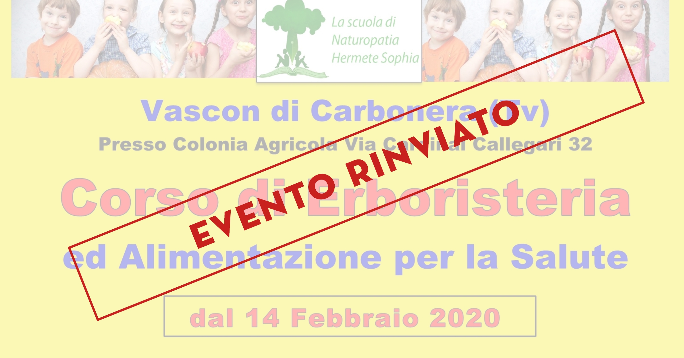 orso Erboristeria ANNULLATO